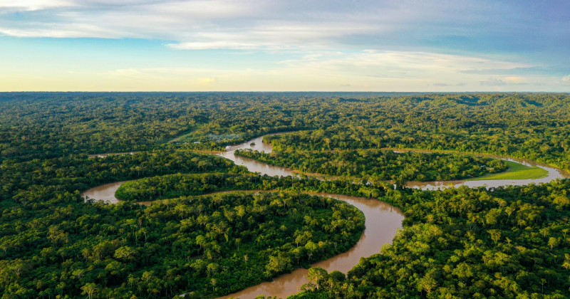 Investimento na Amazônia tem impacto global